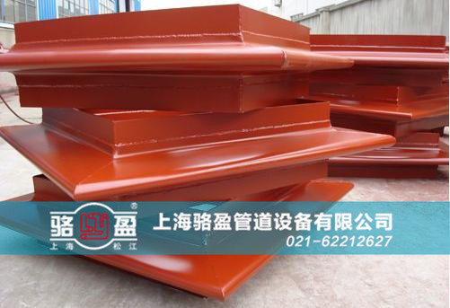 駱盈<a href=http://www.berberana.cn target=_blank class=infotextkey>補(bǔ)償器</a>近景圖